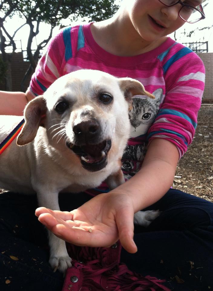 My sweet girl has such a soft spot for furry friends. Volunteering at the animal shelter is her most requested Girls Only Weekend activity.