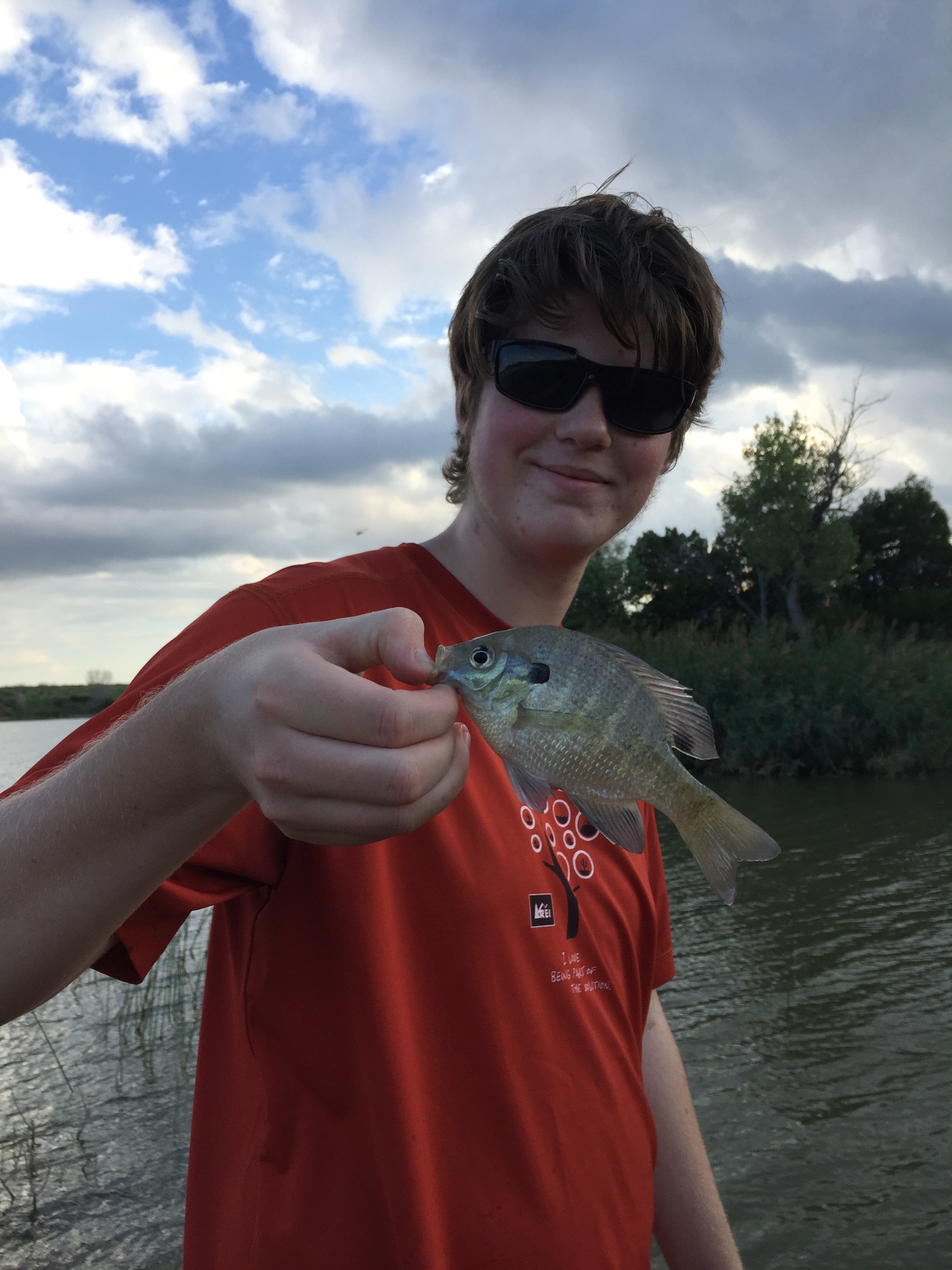 After setting up camp, Jesse walked down to Lake Theo and began catching (and releasing) these little guys. He is an angler to the core.