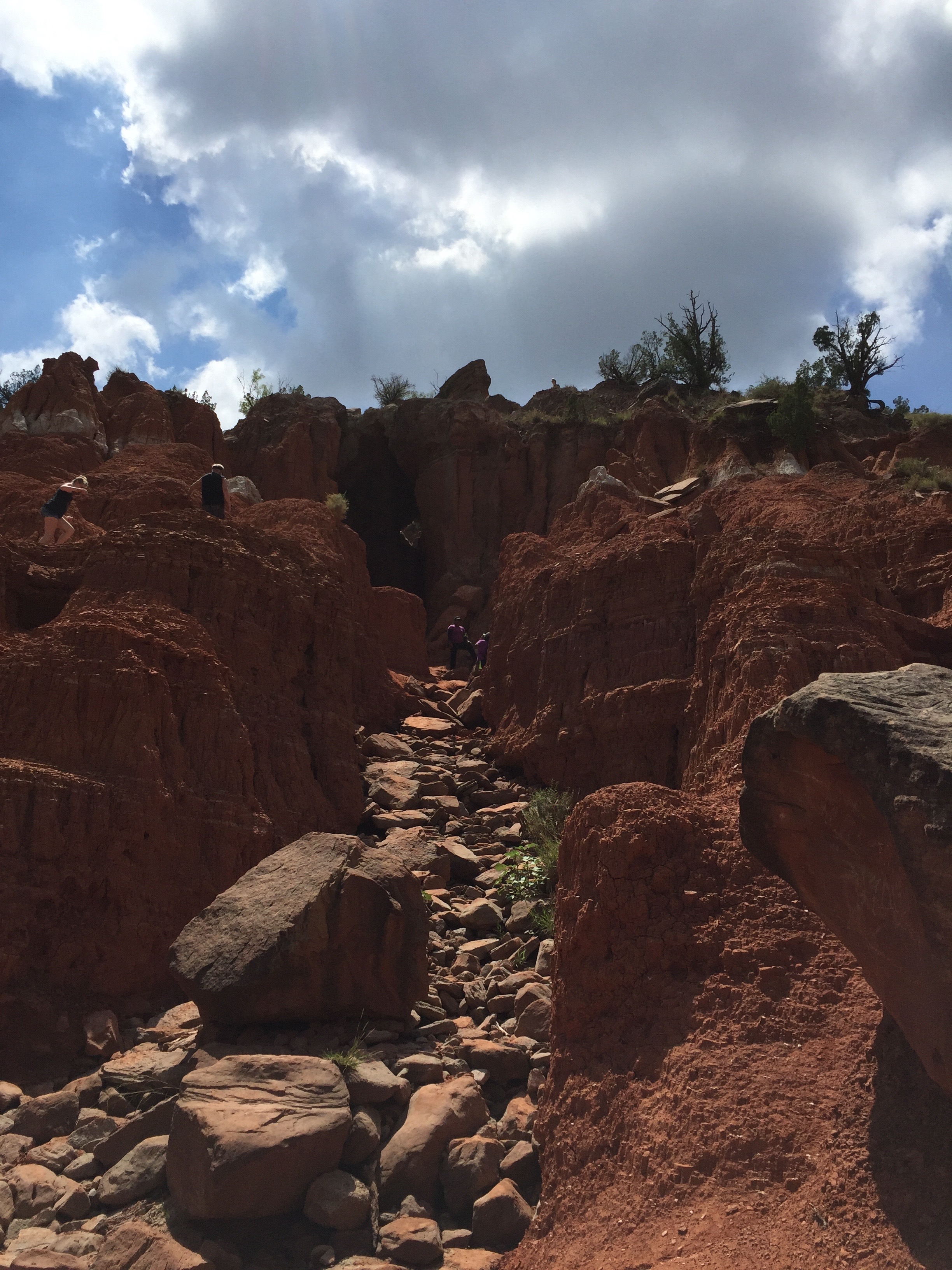 I ventured about this close to it. My cowardice won and I stayed behind while the family explored the nooks and crannies with other brave hikers that day.