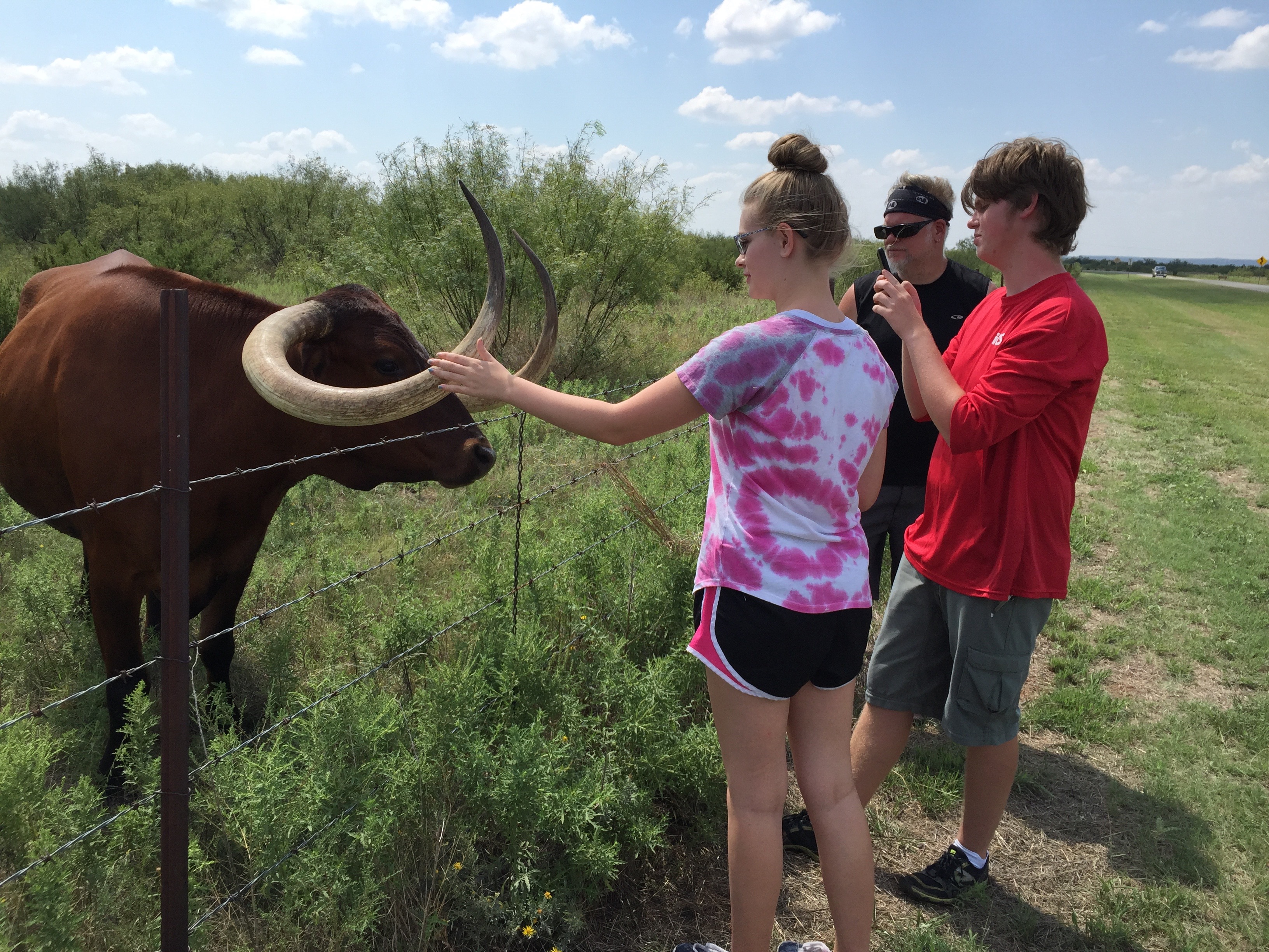 On our way out, we did enjoy some time with some longhorns the park keeps.