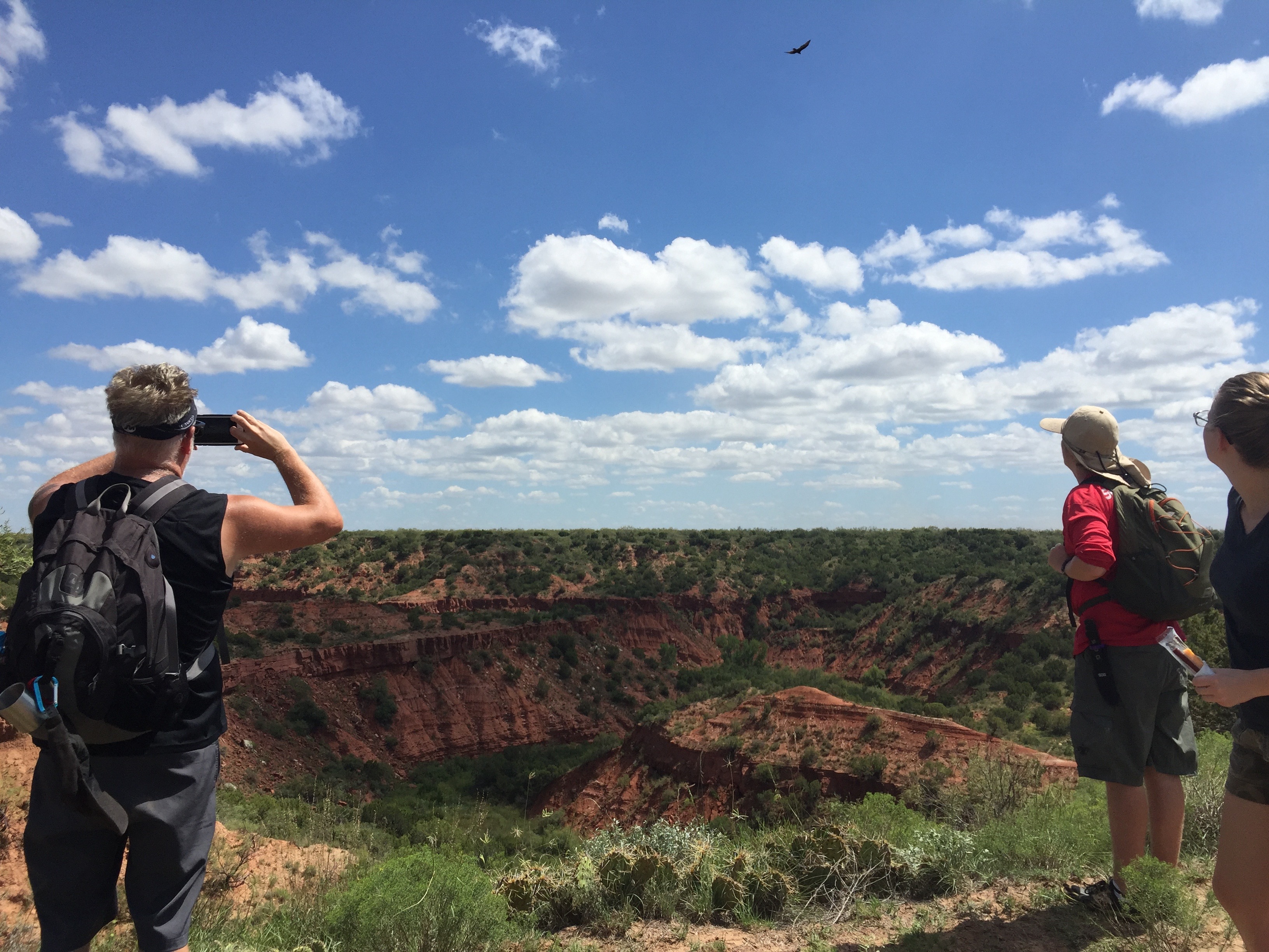 LOVE this shot of the three of them watching the bird flying high above the canyon.