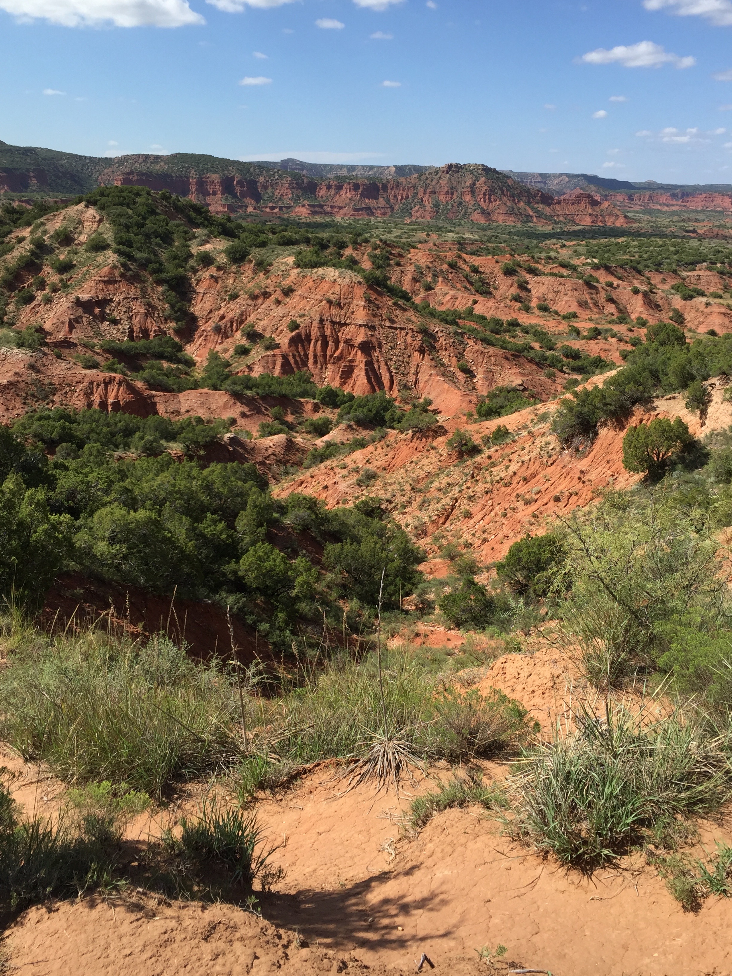 The photos just don't convey the vastness, the depth, the beauty of Caprock Canyons SP.