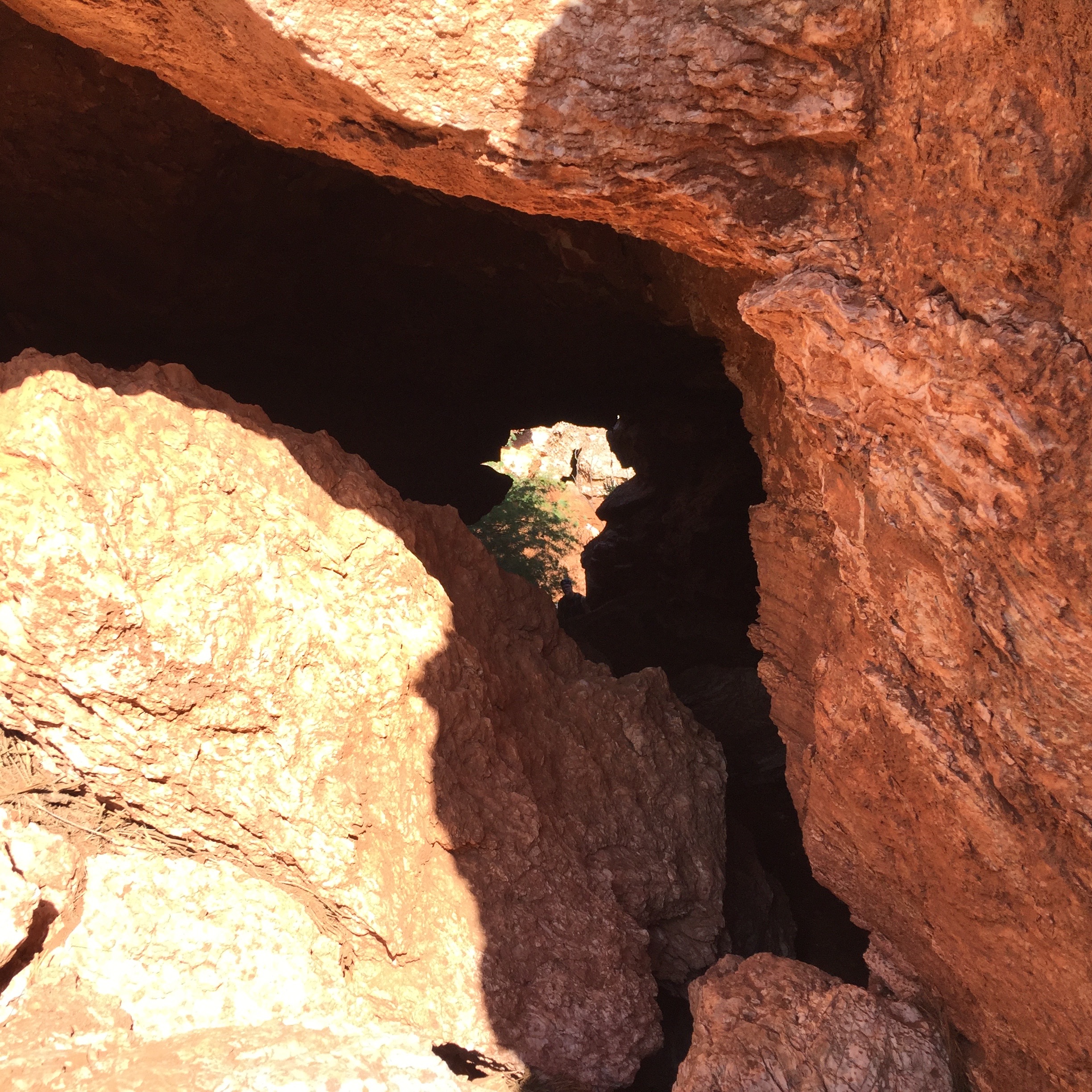 Simon and the kids couldn't resist climbing down into a ravine and then through this natural "tunnel" under our hiking trail. If you look closely, you can see Simon's head in the center for scale.